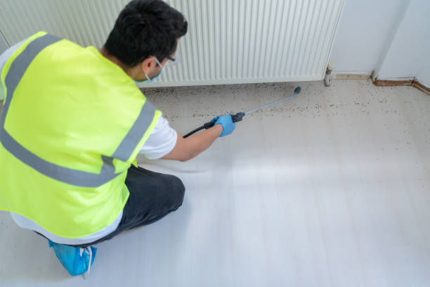 Best Fumigation Services  in Parker, AZ